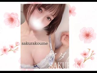 アダルトチャット sakurakoume